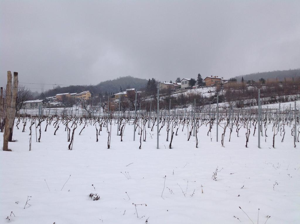 Azienda Agricola Garoglio Davide Alfiano Natta Zewnętrze zdjęcie