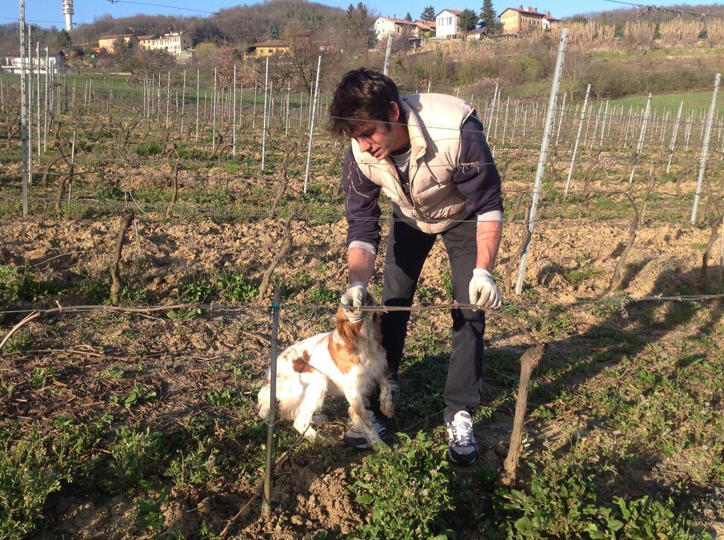 Azienda Agricola Garoglio Davide Alfiano Natta Zewnętrze zdjęcie